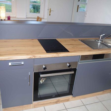 Ferien-Wohnung Am Menzer-Park Neckargemünd エクステリア 写真