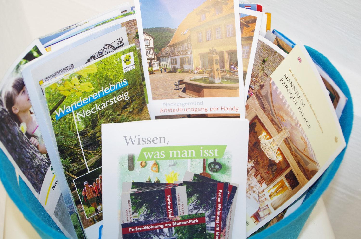 Ferien-Wohnung Am Menzer-Park Neckargemünd エクステリア 写真