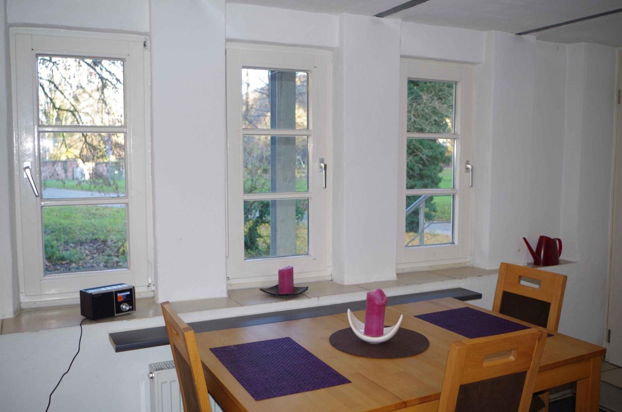 Ferien-Wohnung Am Menzer-Park Neckargemünd エクステリア 写真